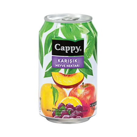 Cappy Meyve Suyu Karışık